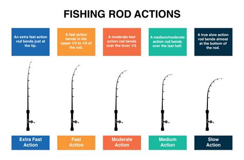 what is action on a fishing rod